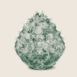 ATELIER LUCILE VIAUD