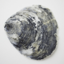 ATELIER LUCILE VIAUD