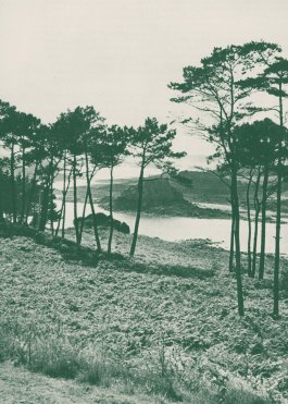 ATELIER LUCILE VIAUD