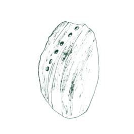 ATELIER LUCILE VIAUD