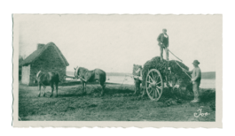 ATELIER LUCILE VIAUD