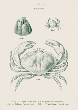 ATELIER LUCILE VIAUD