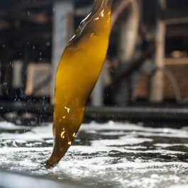 ATELIER LUCILE VIAUD