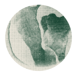 ATELIER LUCILE VIAUD