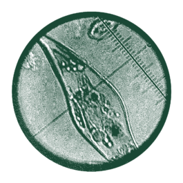 ATELIER LUCILE VIAUD