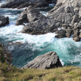 ATELIER LUCILE VIAUD