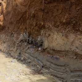 ATELIER LUCILE VIAUD