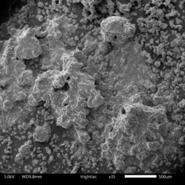 ATELIER LUCILE VIAUD