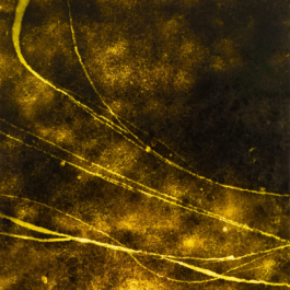 ATELIER LUCILE VIAUD