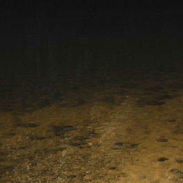 ATELIER LUCILE VIAUD