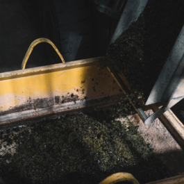 ATELIER LUCILE VIAUD