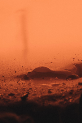 ATELIER LUCILE VIAUD