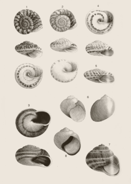 ATELIER LUCILE VIAUD