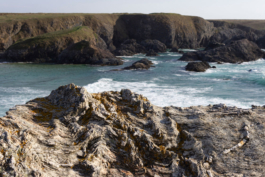 ATELIER LUCILE VIAUD