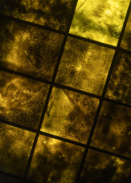 ATELIER LUCILE VIAUD