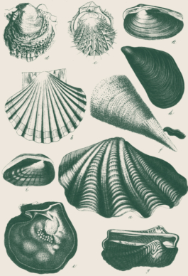 ATELIER LUCILE VIAUD