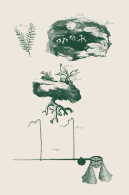 ATELIER LUCILE VIAUD