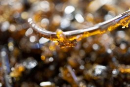 ATELIER LUCILE VIAUD