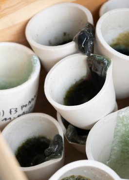 ATELIER LUCILE VIAUD