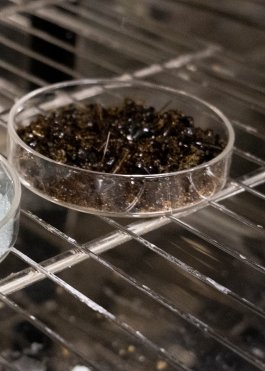 ATELIER LUCILE VIAUD