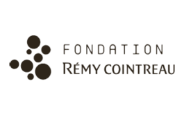 ATELIER LUCILE VIAUD