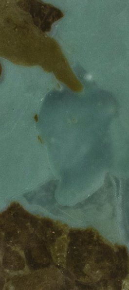 ATELIER LUCILE VIAUD