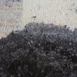 ATELIER LUCILE VIAUD