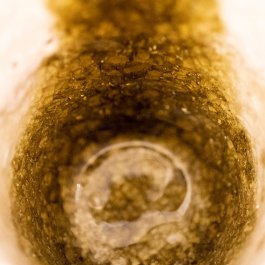 ATELIER LUCILE VIAUD