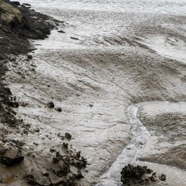 ATELIER LUCILE VIAUD